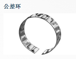 公差環.JPG